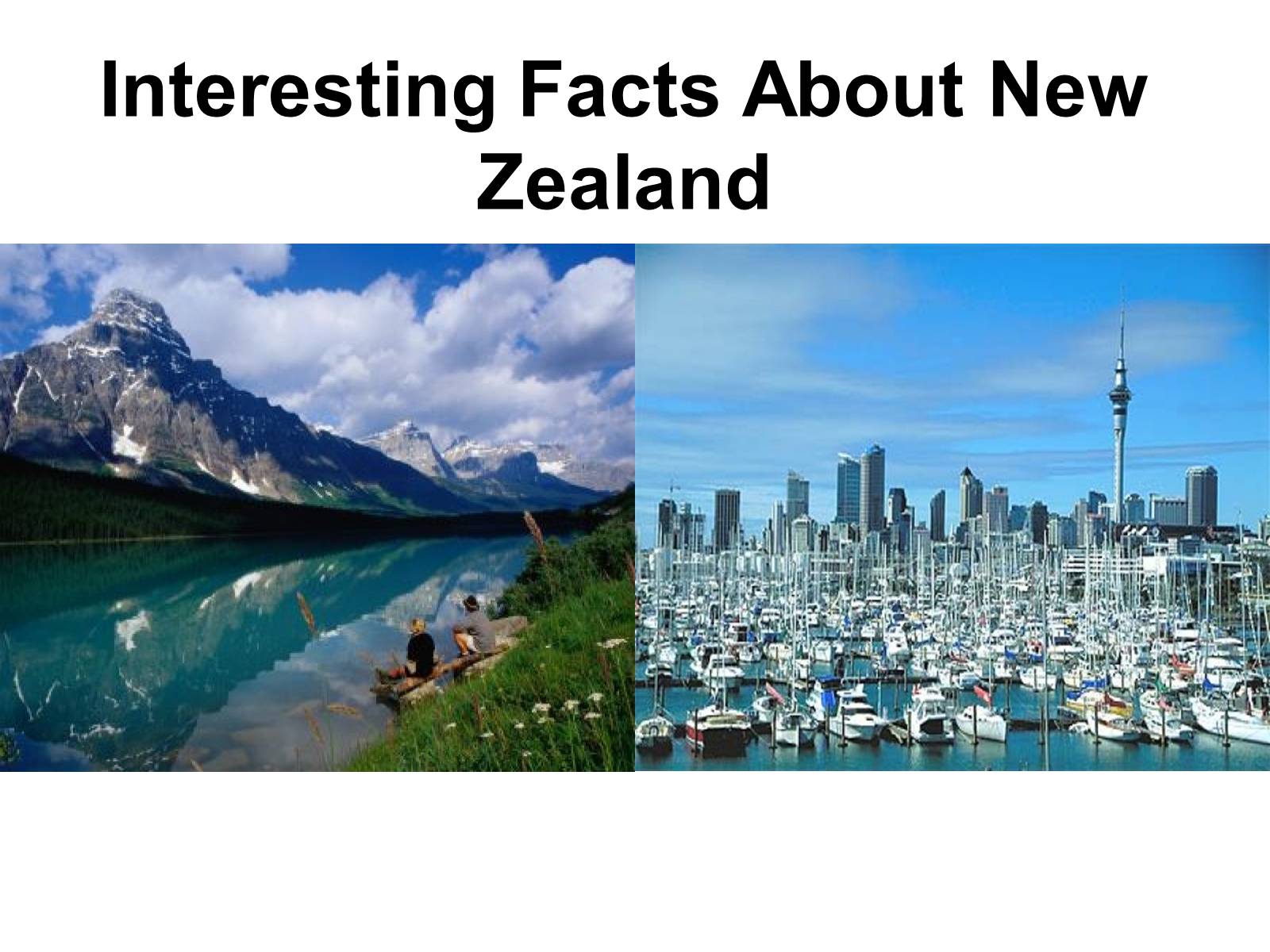 Презентація на тему «Interesting Facts About New Zealand» - Слайд #1