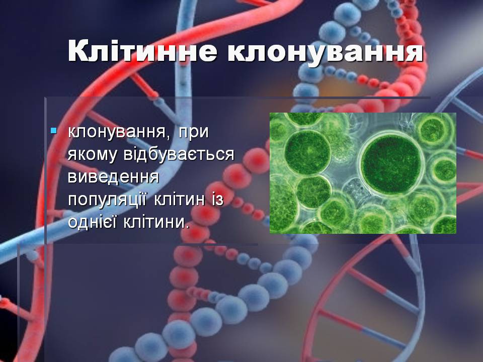 Презентація на тему «Клонування» (варіант 15) - Слайд #7