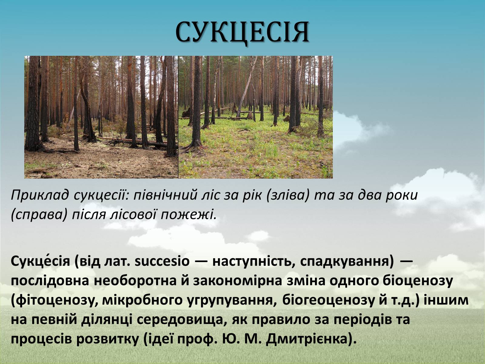 Презентація на тему «Різноманітність екосистем. Розвиток і зміни екосистем» - Слайд #10