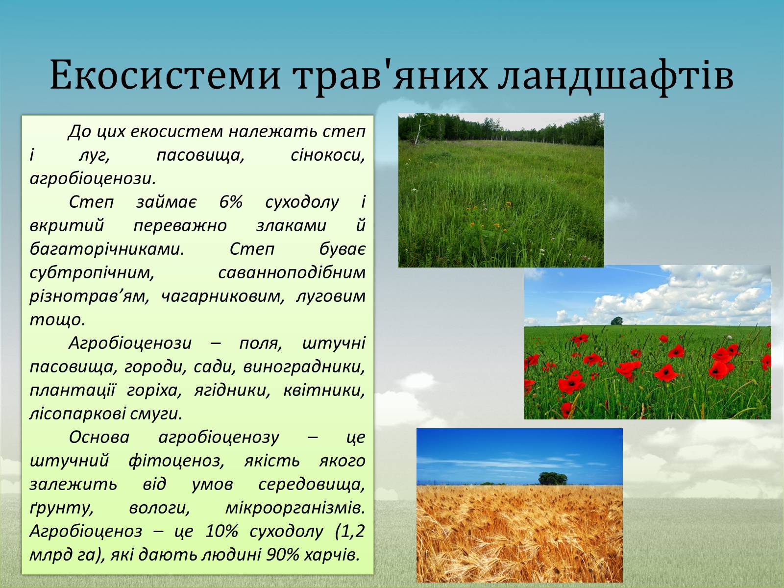 Презентація на тему «Різноманітність екосистем. Розвиток і зміни екосистем» - Слайд #5