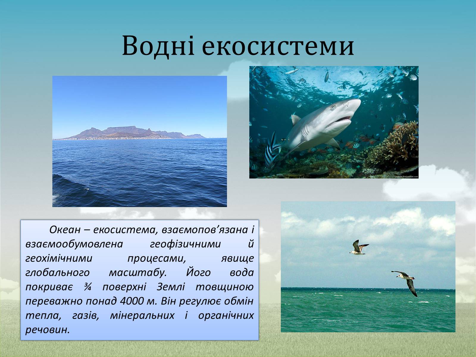 Презентація на тему «Різноманітність екосистем. Розвиток і зміни екосистем» - Слайд #6