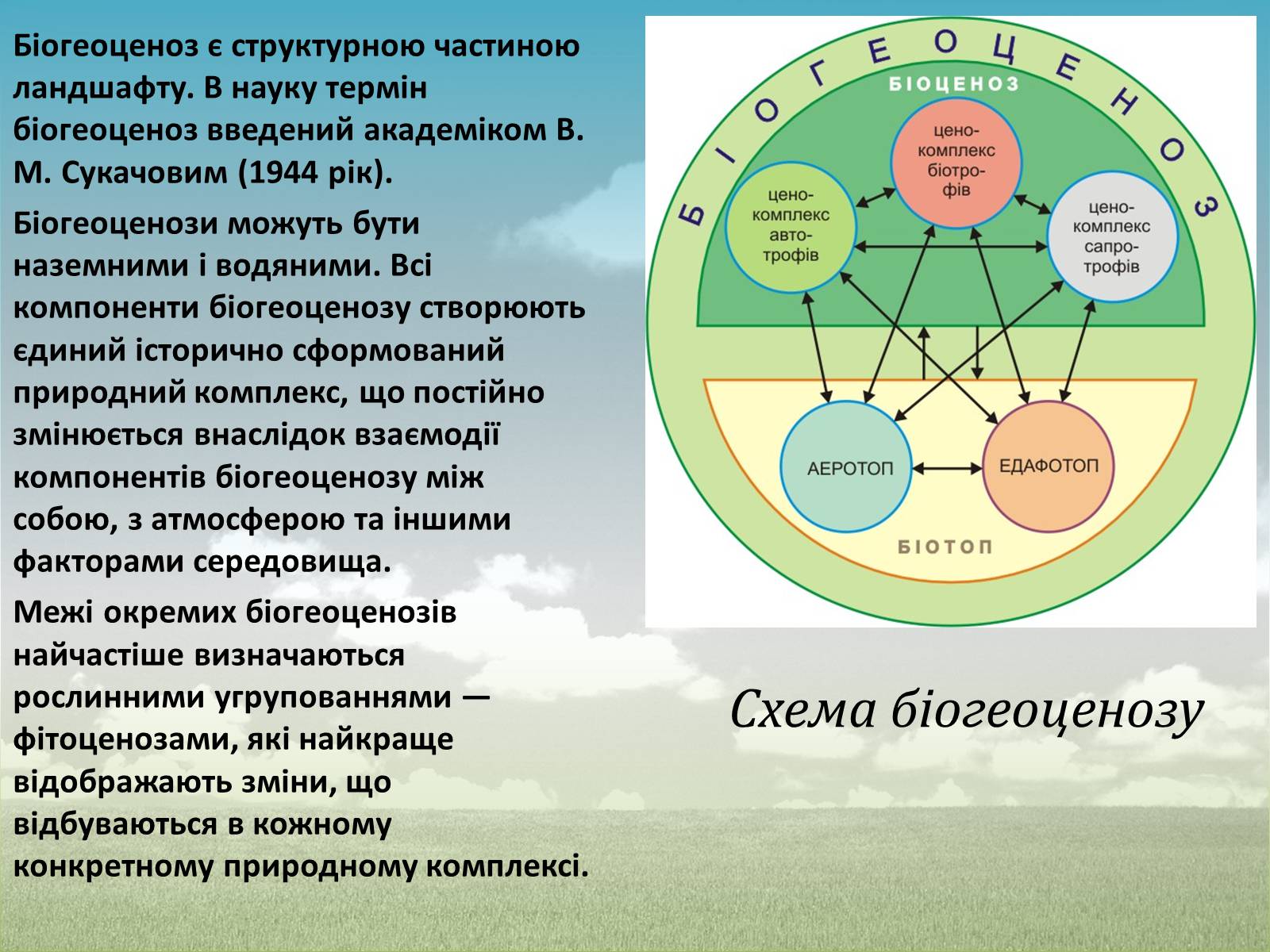 Презентація на тему «Різноманітність екосистем. Розвиток і зміни екосистем» - Слайд #8