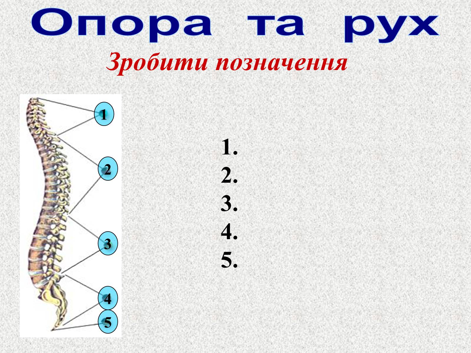 Презентація на тему «Опорно-рухова система людини» - Слайд #100