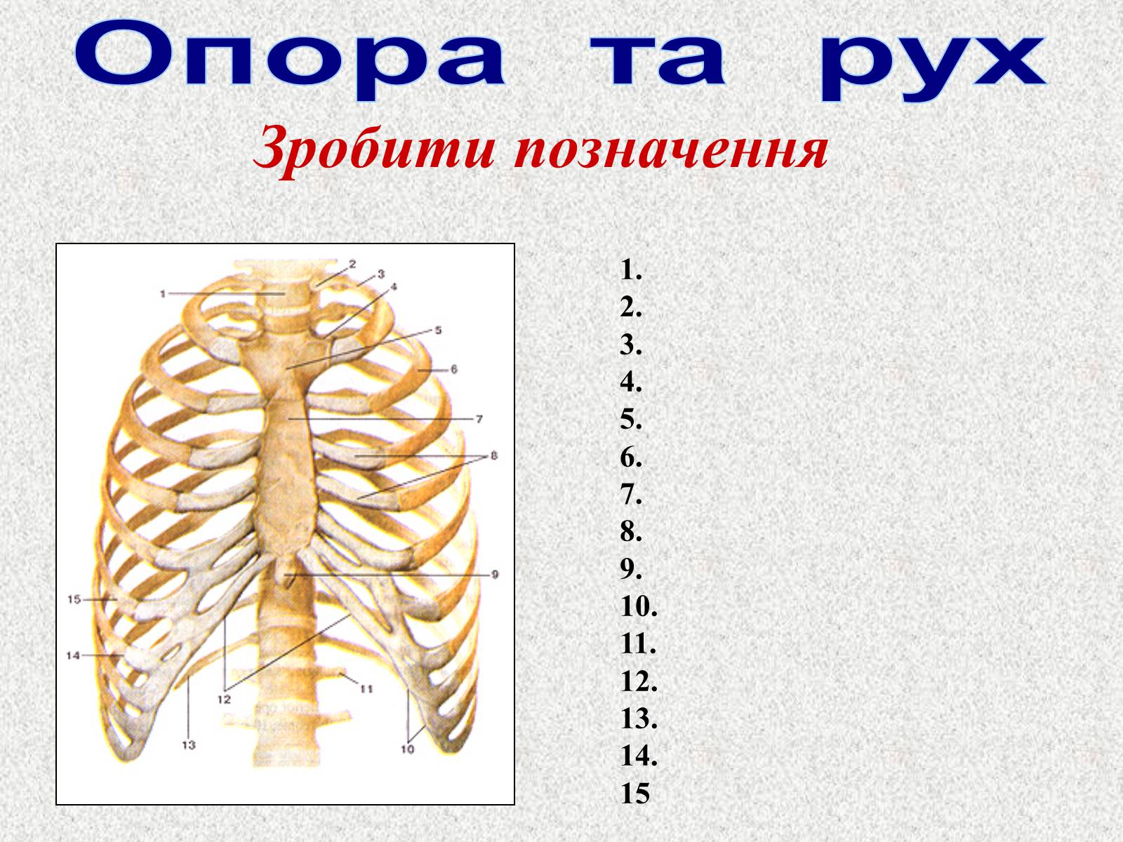 Презентація на тему «Опорно-рухова система людини» - Слайд #101