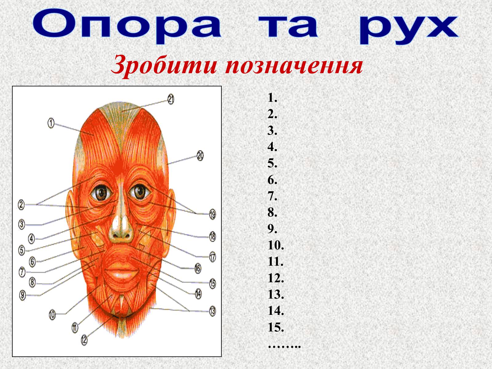 Презентація на тему «Опорно-рухова система людини» - Слайд #105