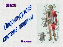 Презентація на тему «Опорно-рухова система людини»