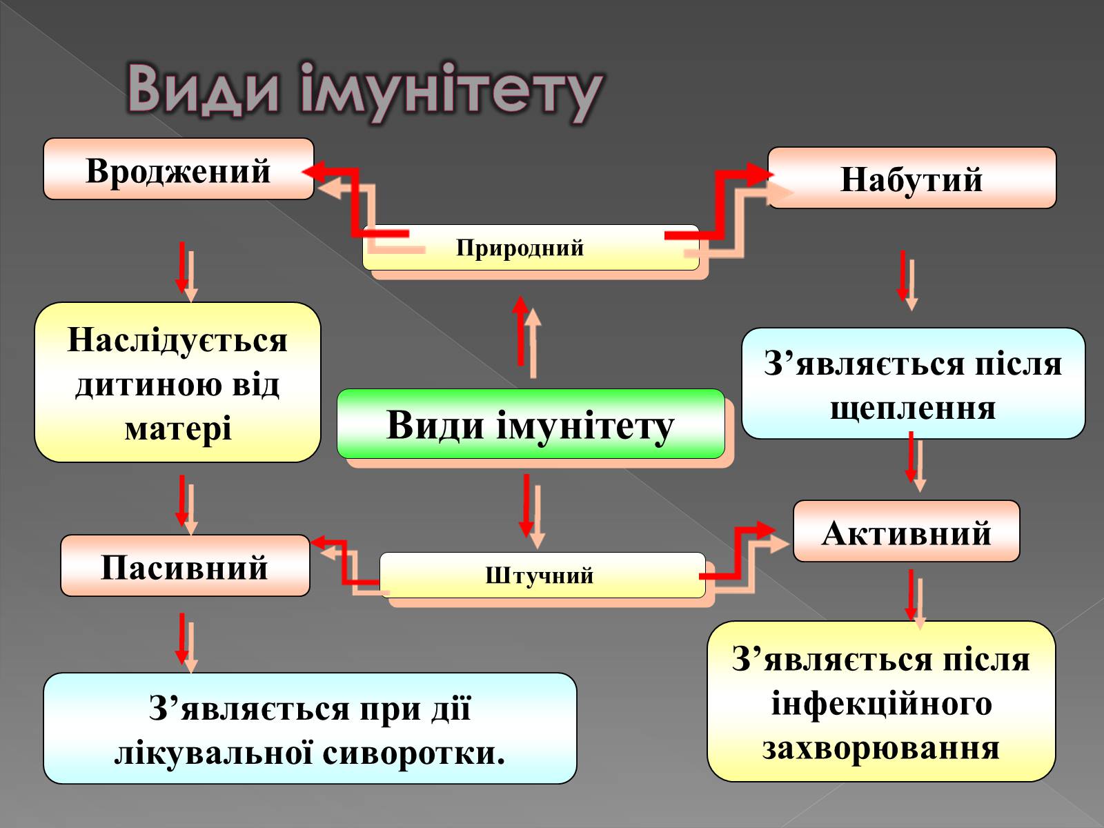 Презентація на тему «Імунітет» (варіант 1) - Слайд #3