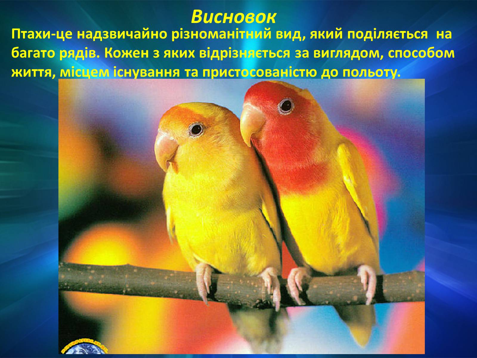 Презентація на тему «Різноманітність птахів» (варіант 2) - Слайд #10