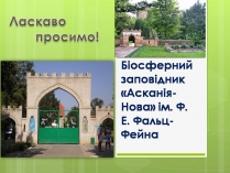 Презентація на тему «Асканія Нова» (варіант 11)