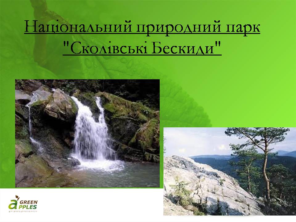 Презентація на тему «Біорізноманіття» (варіант 10) - Слайд #27