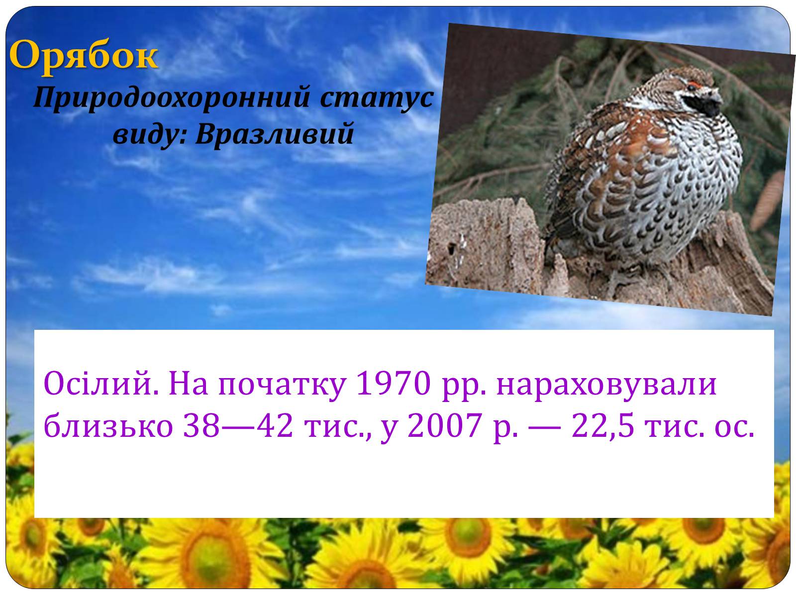 Презентація на тему «Птахи занесені до Червоної книги України» - Слайд #19