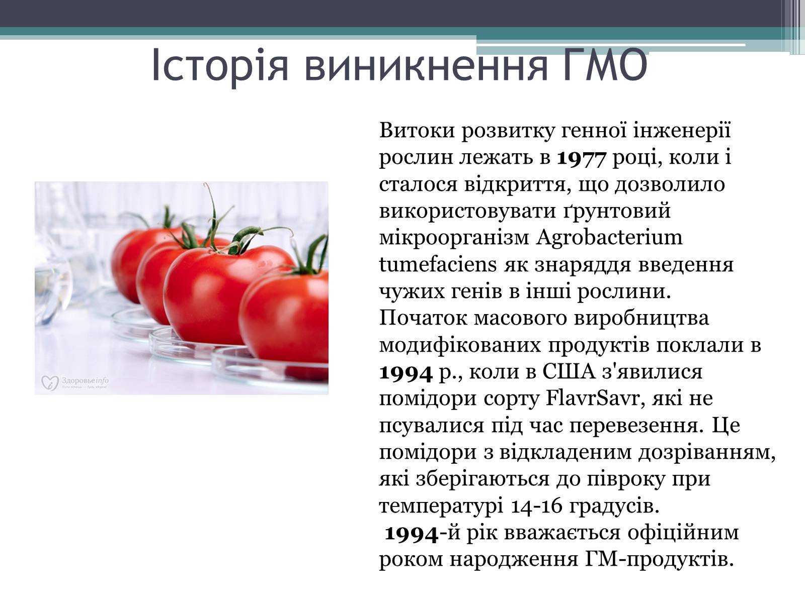 Презентація на тему «Генетично модифіковані організми» (варіант 3) - Слайд #3