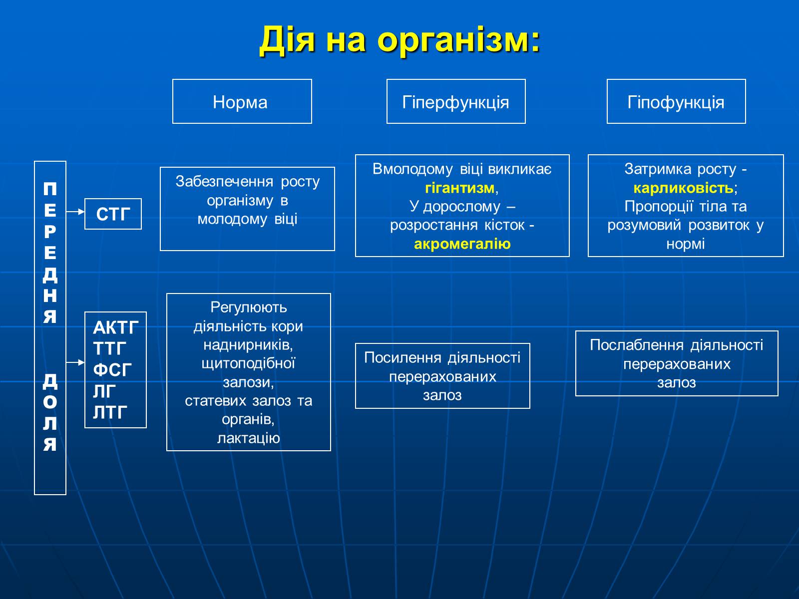 Презентація на тему «Залози внутрішньої секреції» - Слайд #12