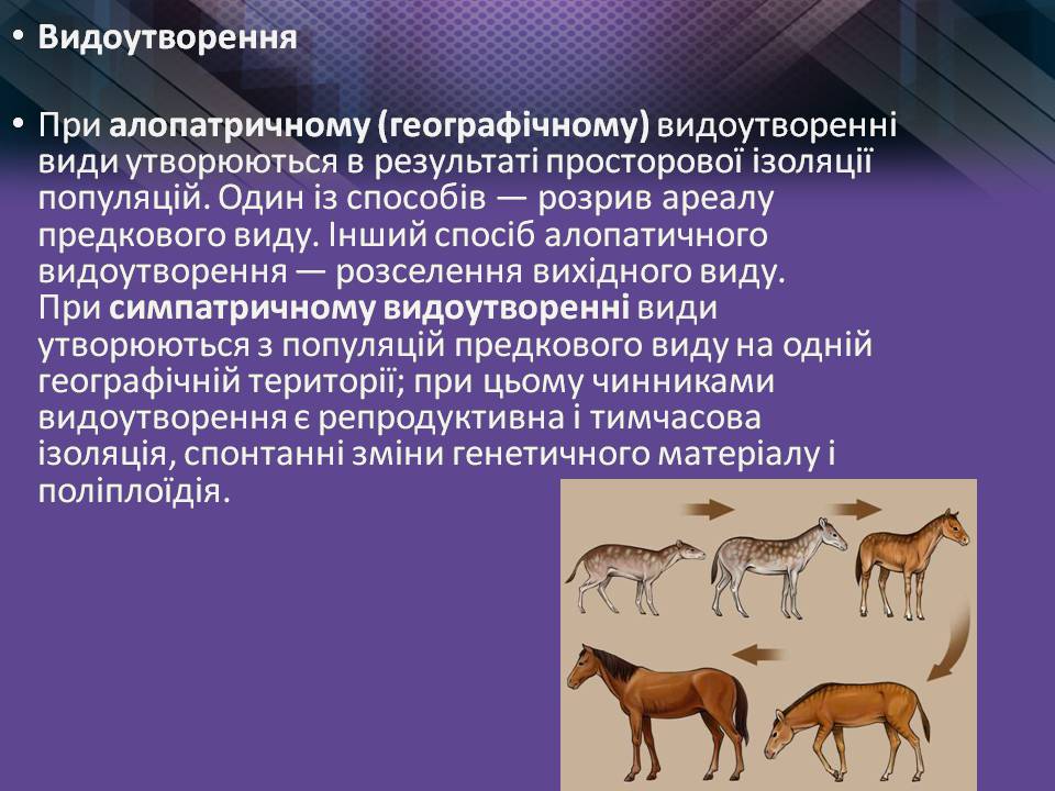 Презентація на тему «Мікроеволюція» (варіант 2) - Слайд #11