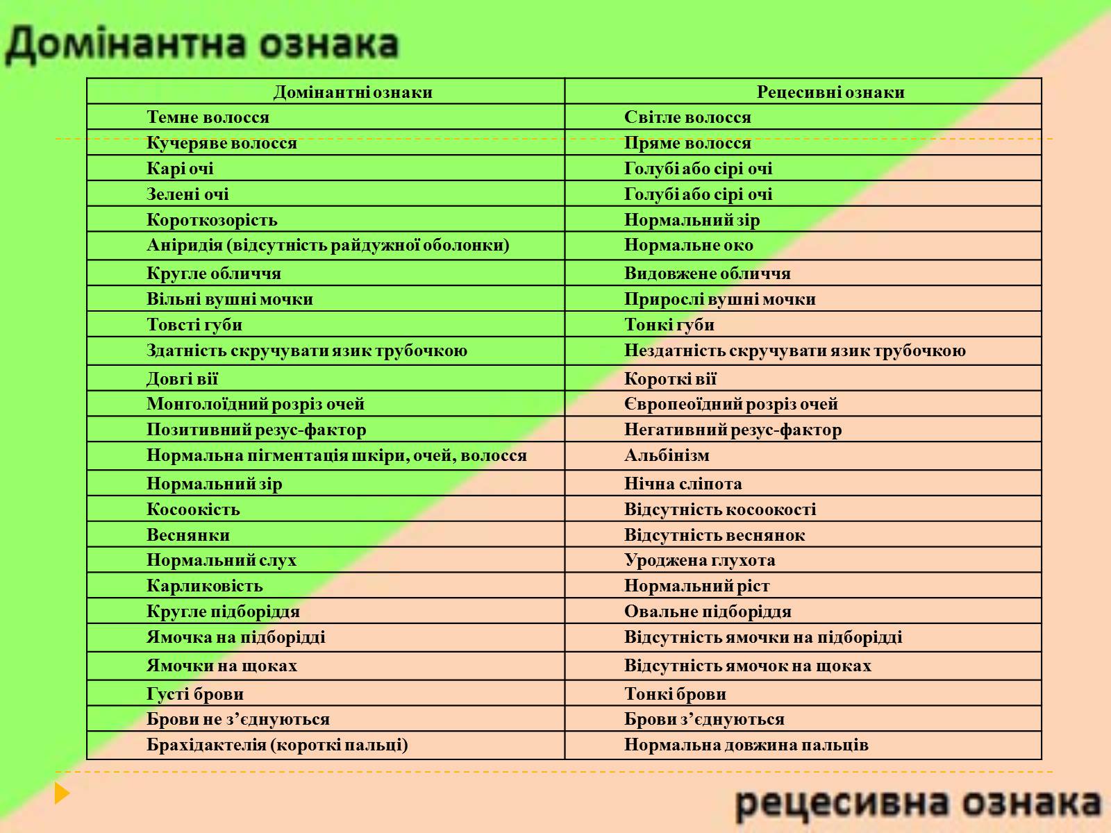 Презентація на тему «Домінантні та рецесивні стани ознак у людини» - Слайд #2