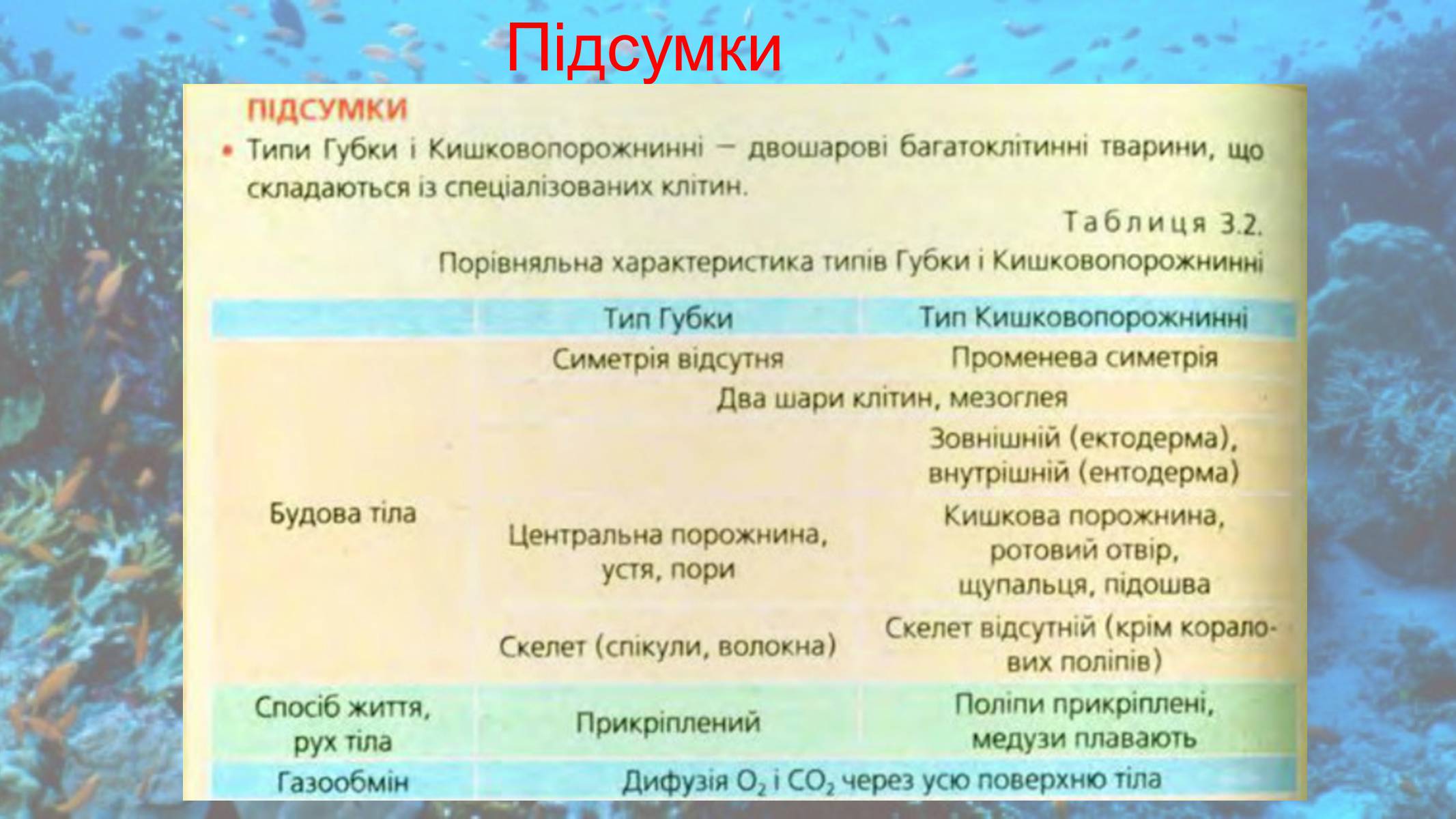 Презентація на тему «Кишковопорожнинні» (варіант 2) - Слайд #16