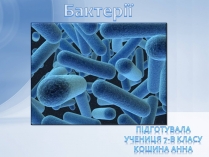 Презентація на тему «Бактерії» (варіант 2)