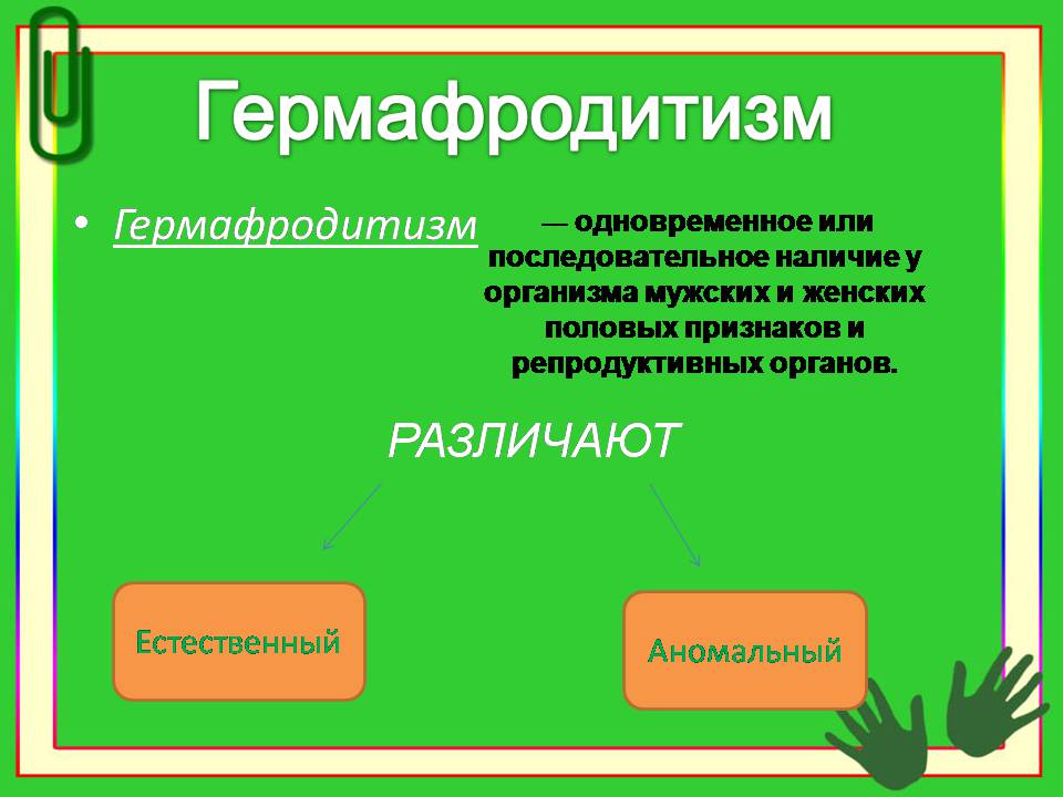 Презентація на тему «Гермафродитизм. Партеногенез. Полиэмбриония» - Слайд #2