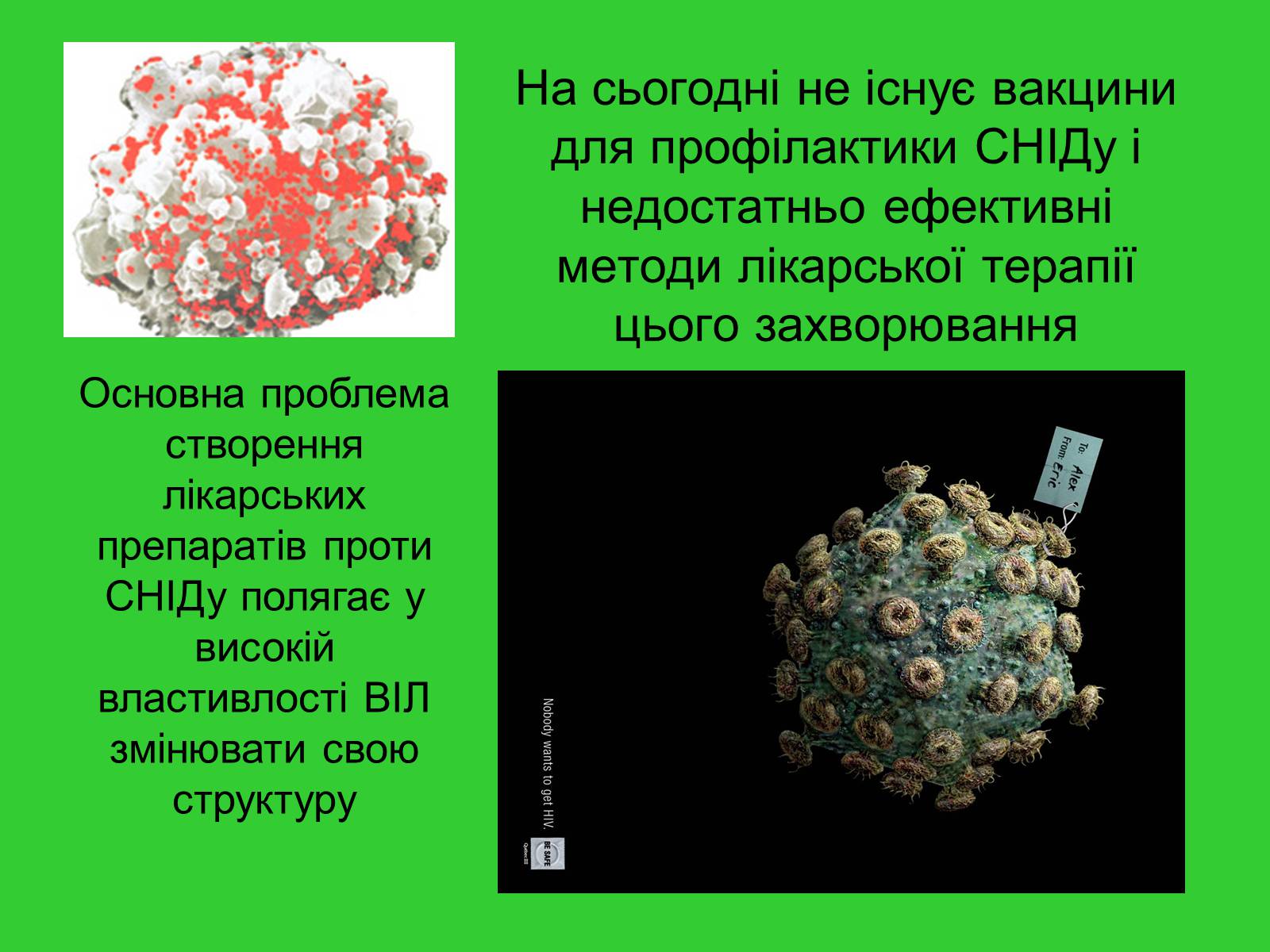 Презентація на тему «ВІЛ. СНІД. інфекції ІПСШ: шляхи передачі і методи захисту» (варіант 6) - Слайд #6