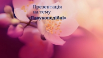 Презентація на тему «Павукоподібні» (варіант 2)