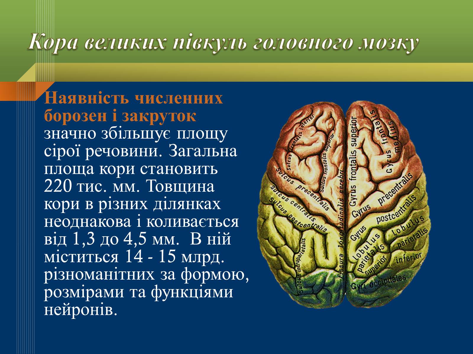 Презентація на тему «Мислення та свідомість людини» - Слайд #3