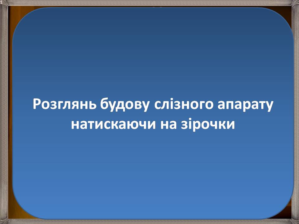 Презентація на тему «Аналізатори» - Слайд #10