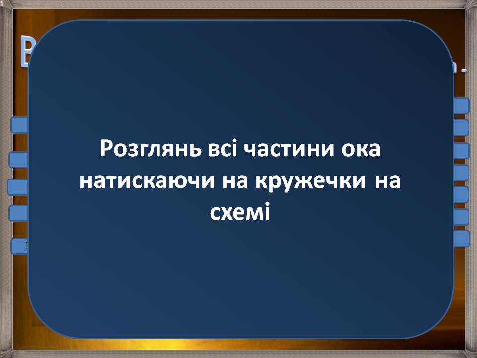 Презентація на тему «Аналізатори» - Слайд #13