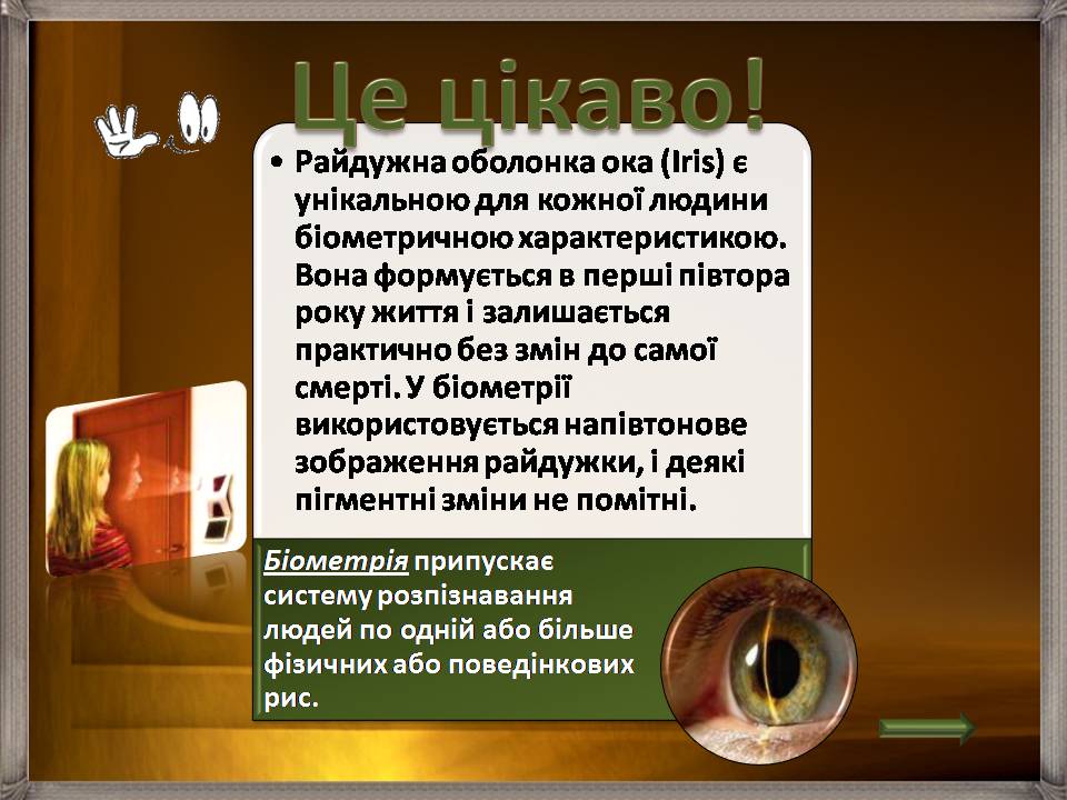 Презентація на тему «Аналізатори» - Слайд #22