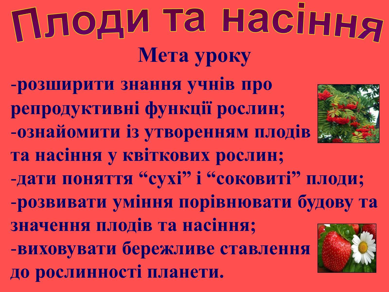 Презентація на тему «Плоди та насіння» - Слайд #3