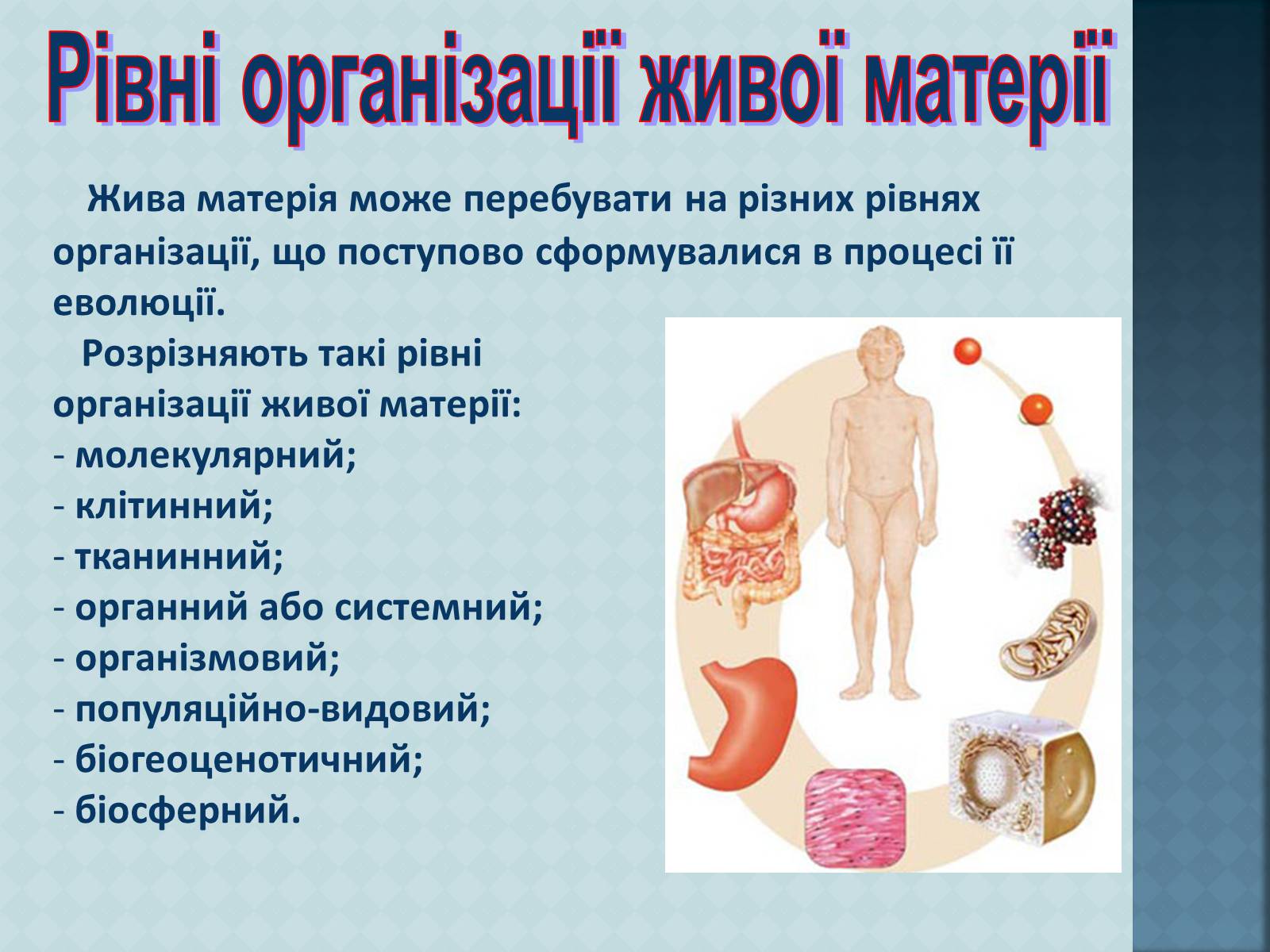 Презентація на тему «Рівні організації живої матерії» (варіант 1) - Слайд #3