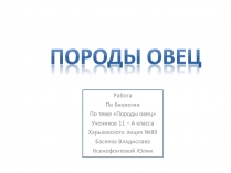 Презентація на тему «Породы овец»