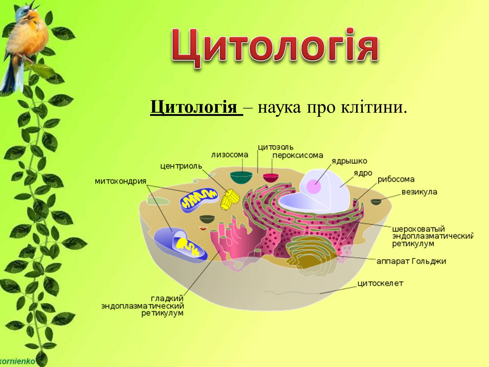 Презентація на тему «Біологічні науки» - Слайд #12