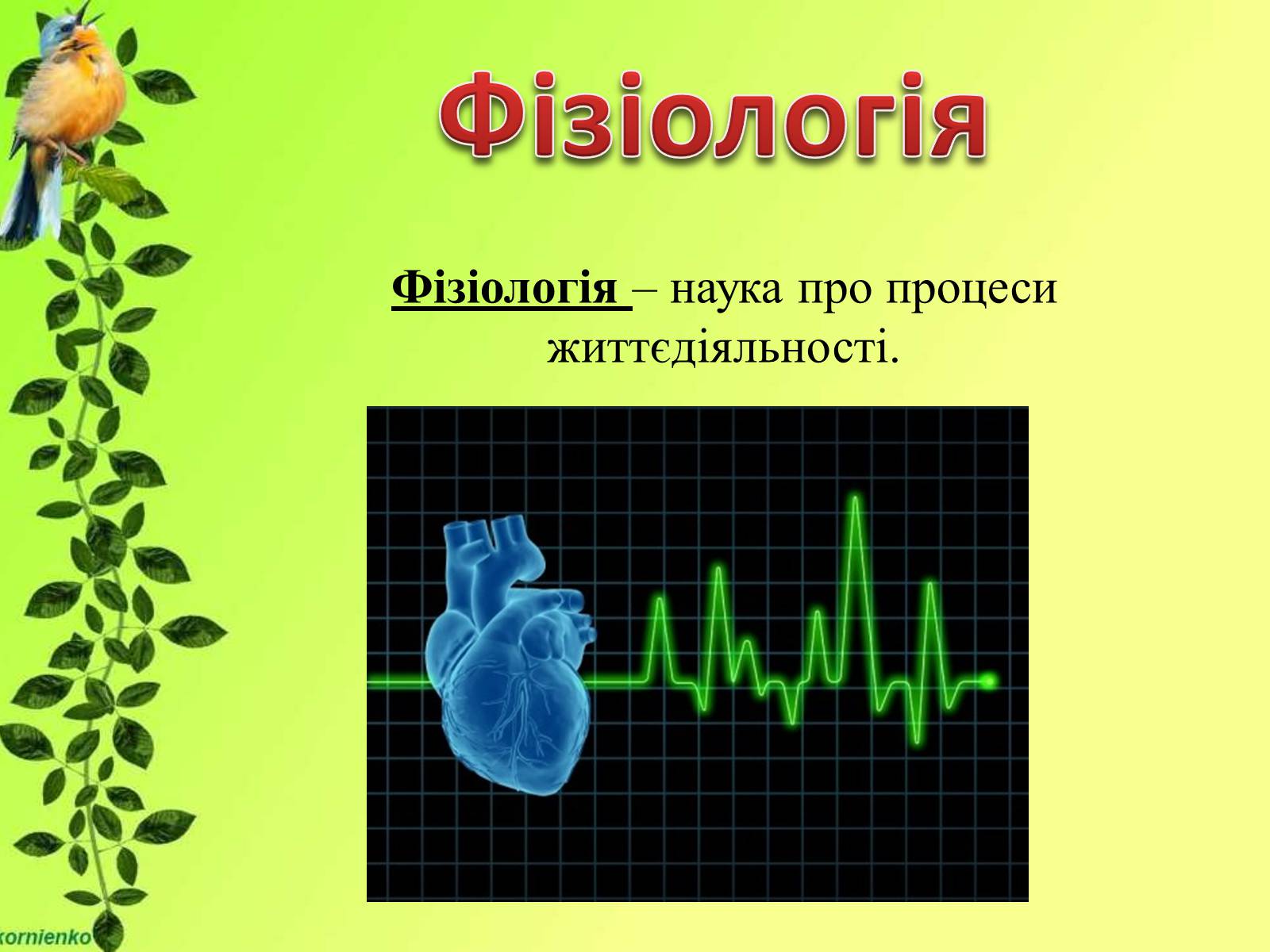 Презентація на тему «Біологічні науки» - Слайд #17