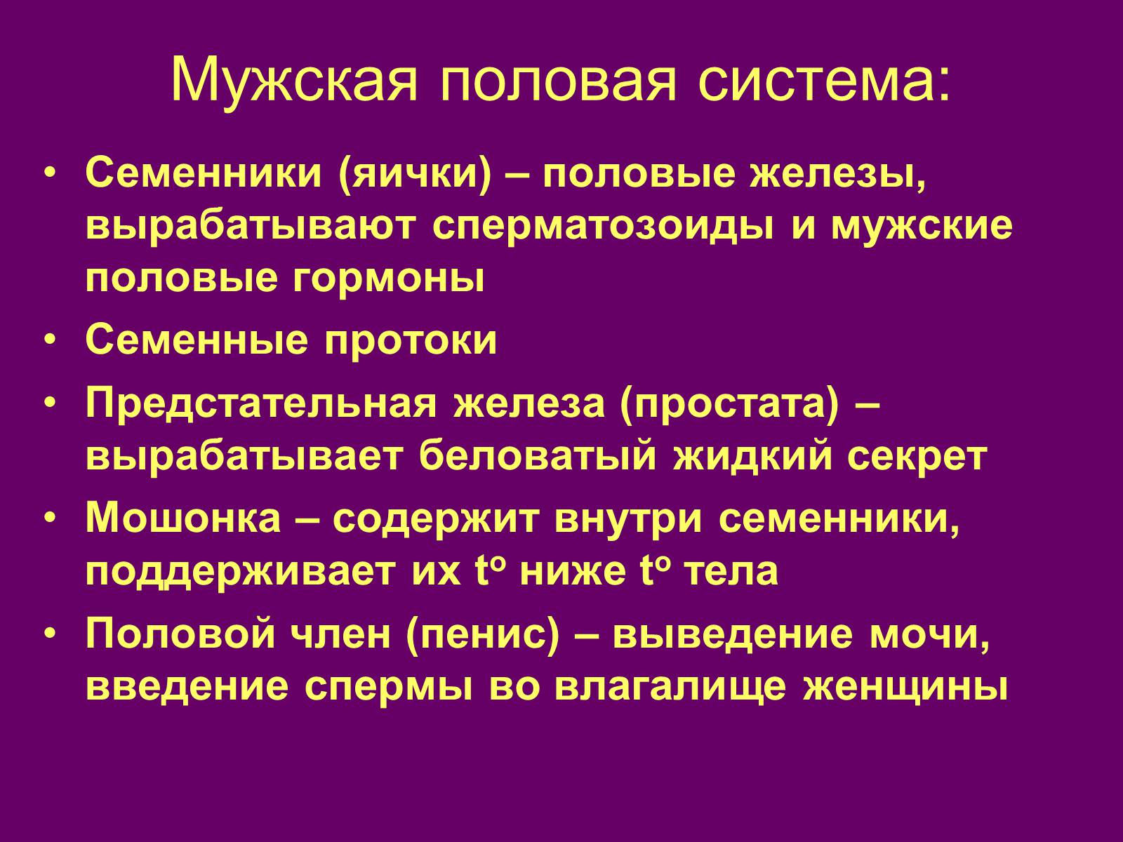 Презентація на тему «Половая система человека» (варіант 1) - Слайд #3