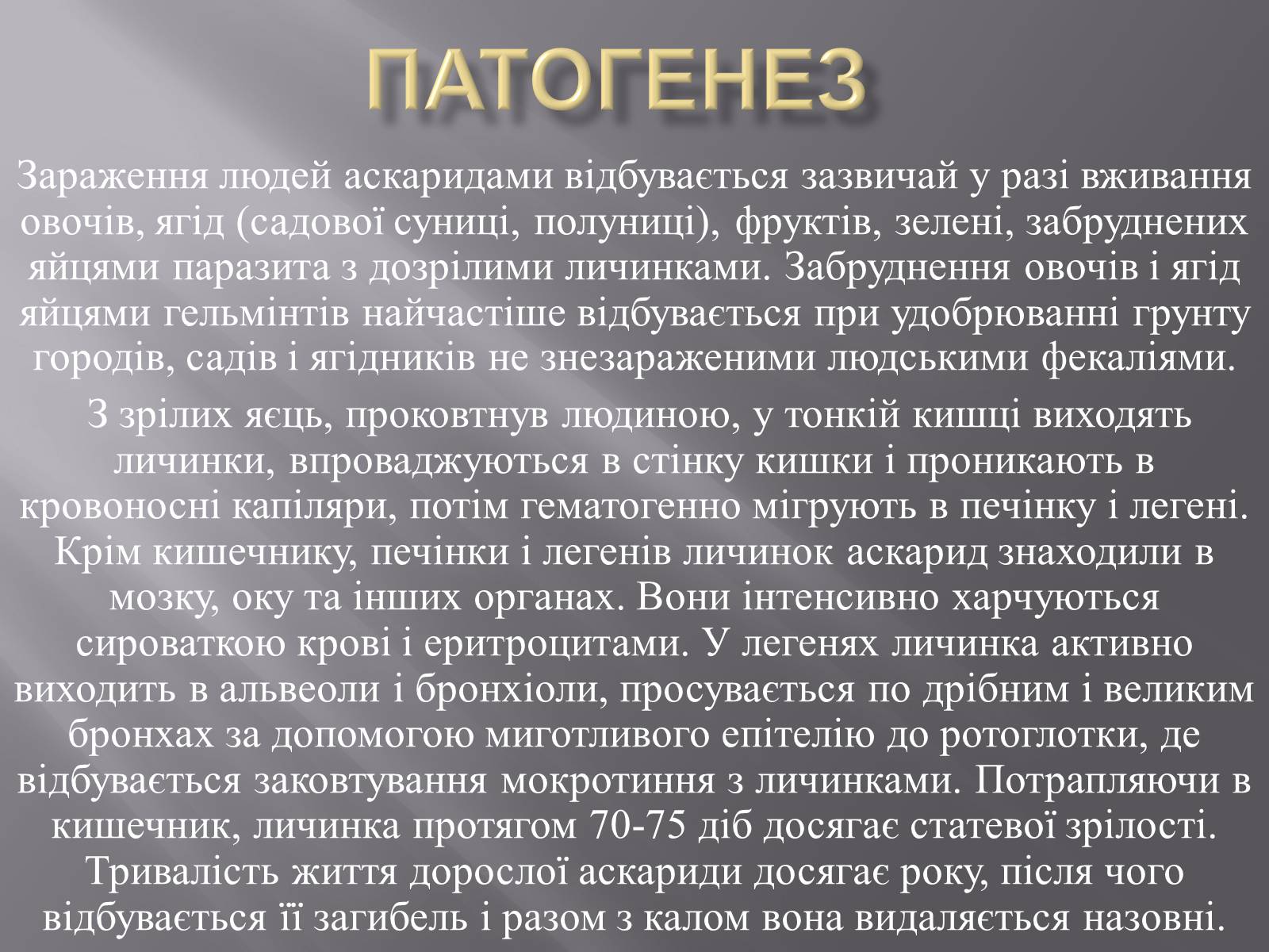 Презентація на тему «Аскариди» - Слайд #11