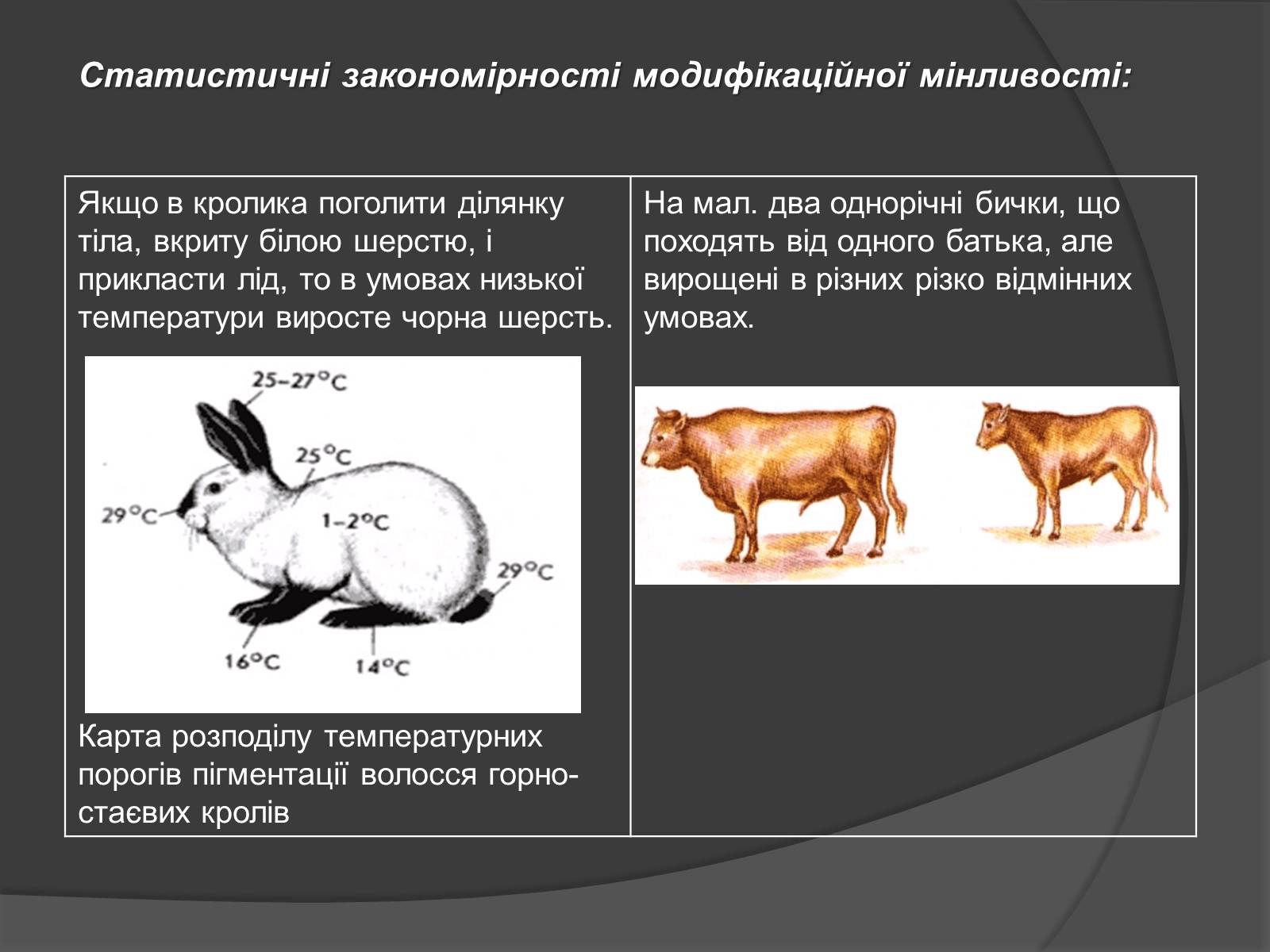 Презентація на тему «Модифікаційна мінливість» (варіант 2) - Слайд #6