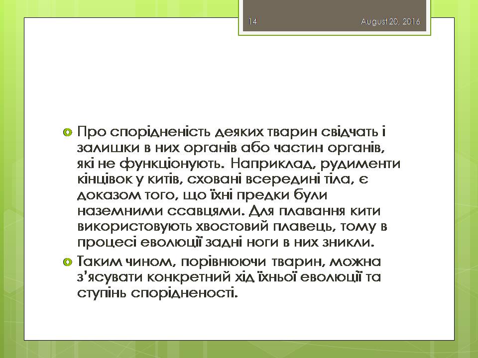 Презентація на тему «Докази еволюції тваринного світу» - Слайд #14