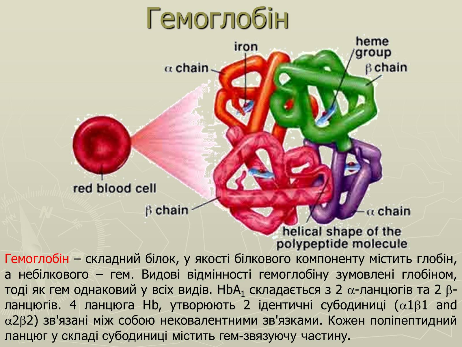 Презентація на тему «Біохімія крові» - Слайд #6