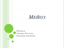 Презентація на тему «Мейоз» (варіант 3)