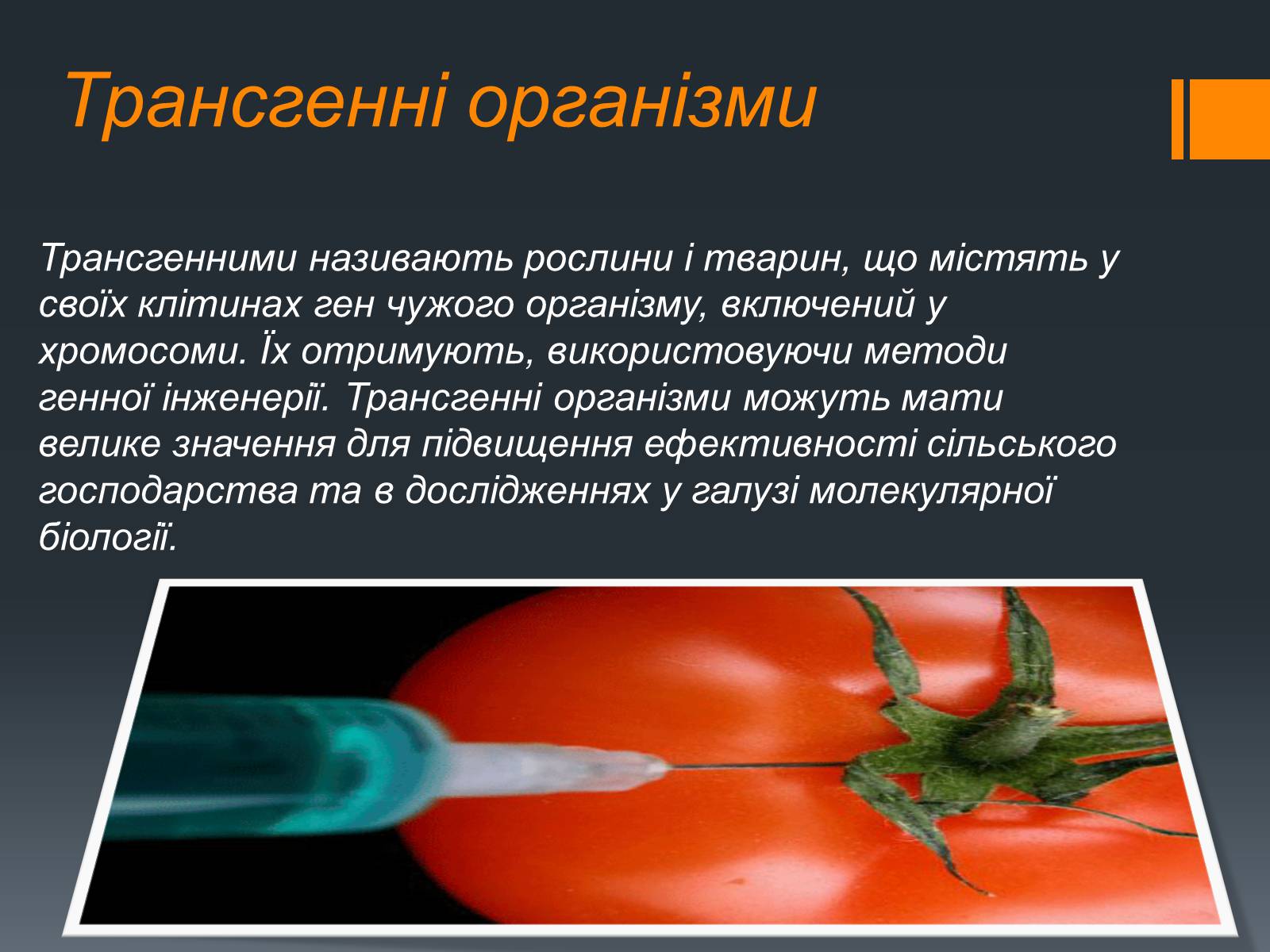 Презентація на тему «Химерні та трансгенні організми» (варіант 2) - Слайд #7