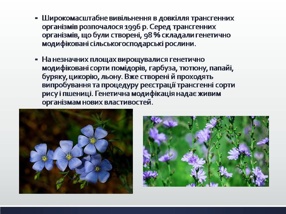 Презентація на тему «Химерні та трансгенні організми. Генетичні основи селекції організмів» - Слайд #10