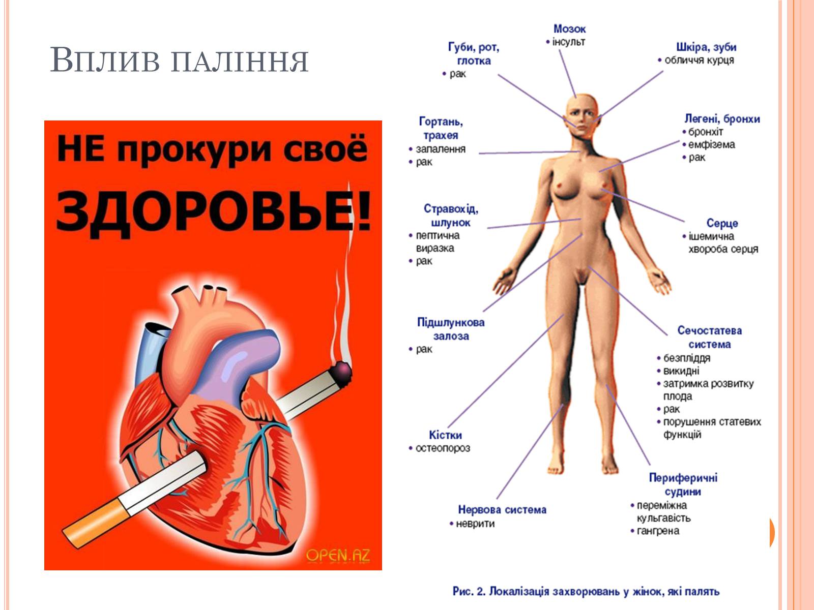 Презентація на тему «Шкода паління» - Слайд #7