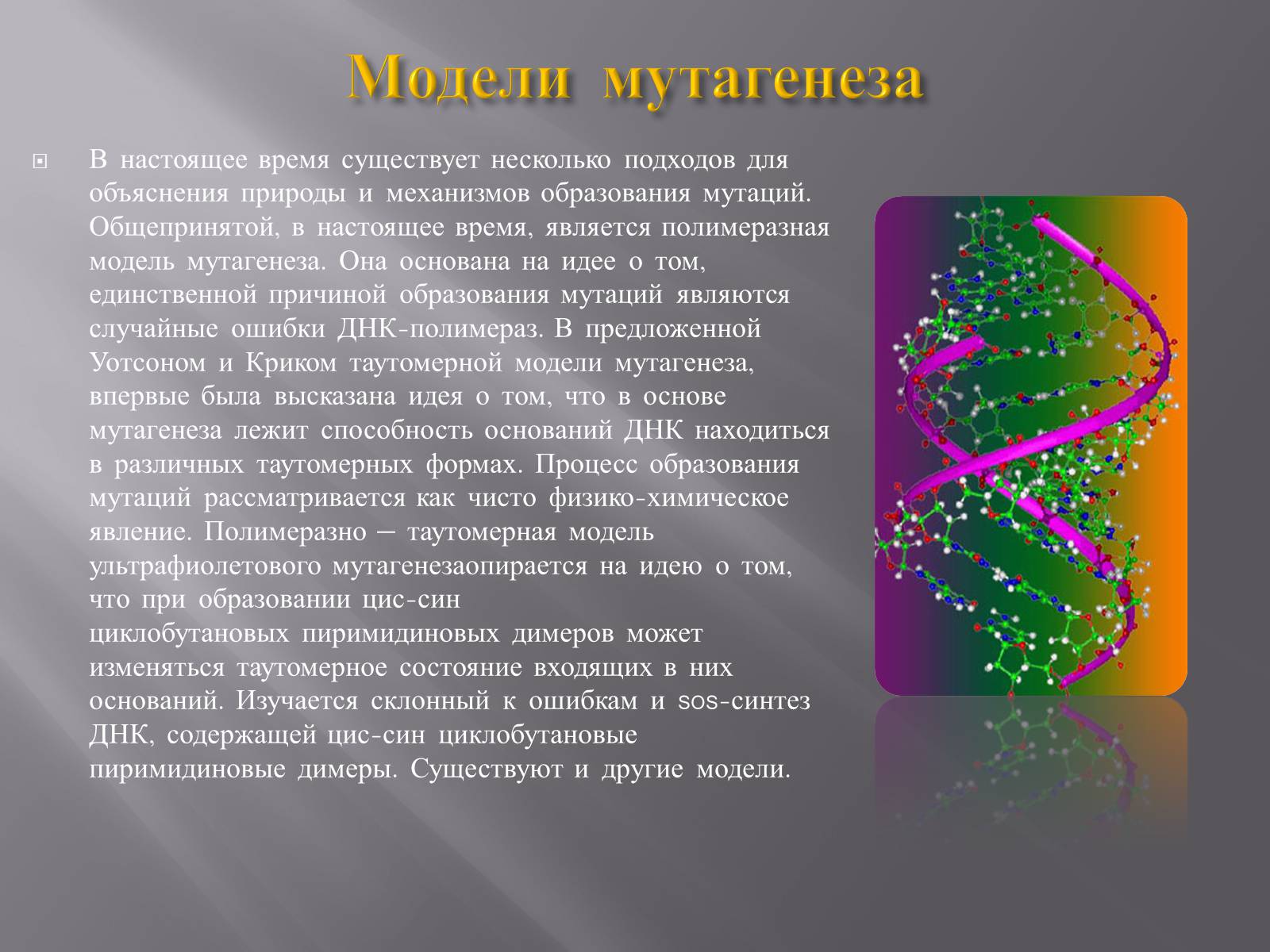 Презентація на тему «Мутации, мутогены, виды мутаций, причины мутаций, значение мутаций» - Слайд #7