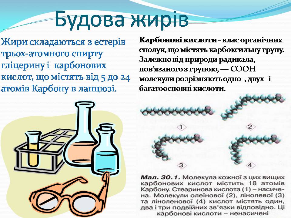 Презентація на тему «Жири» (варіант 28) - Слайд #4