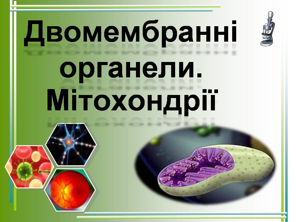 Презентація на тему «Мітохондрії» - Слайд #1