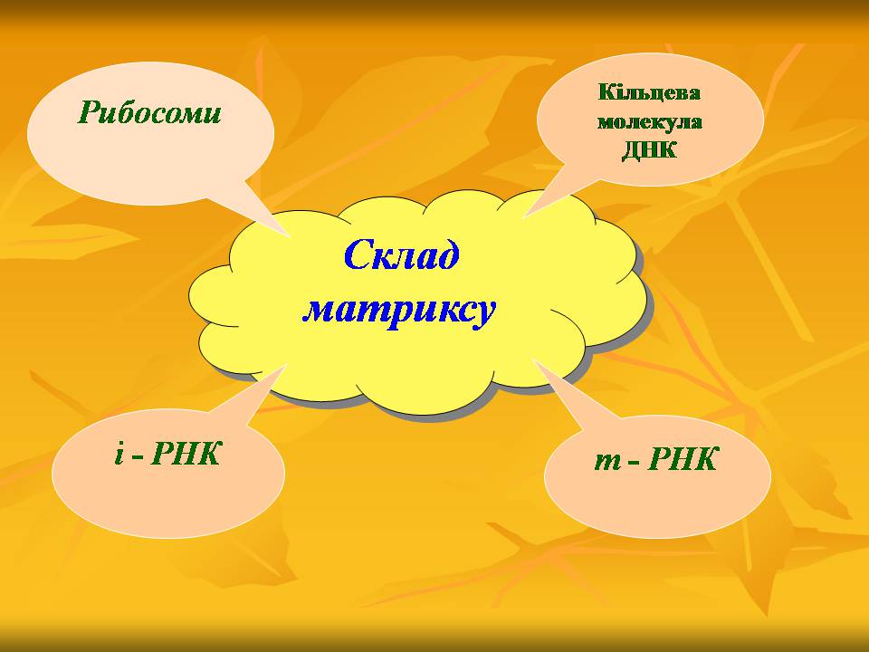 Презентація на тему «Мітохондрії» - Слайд #11