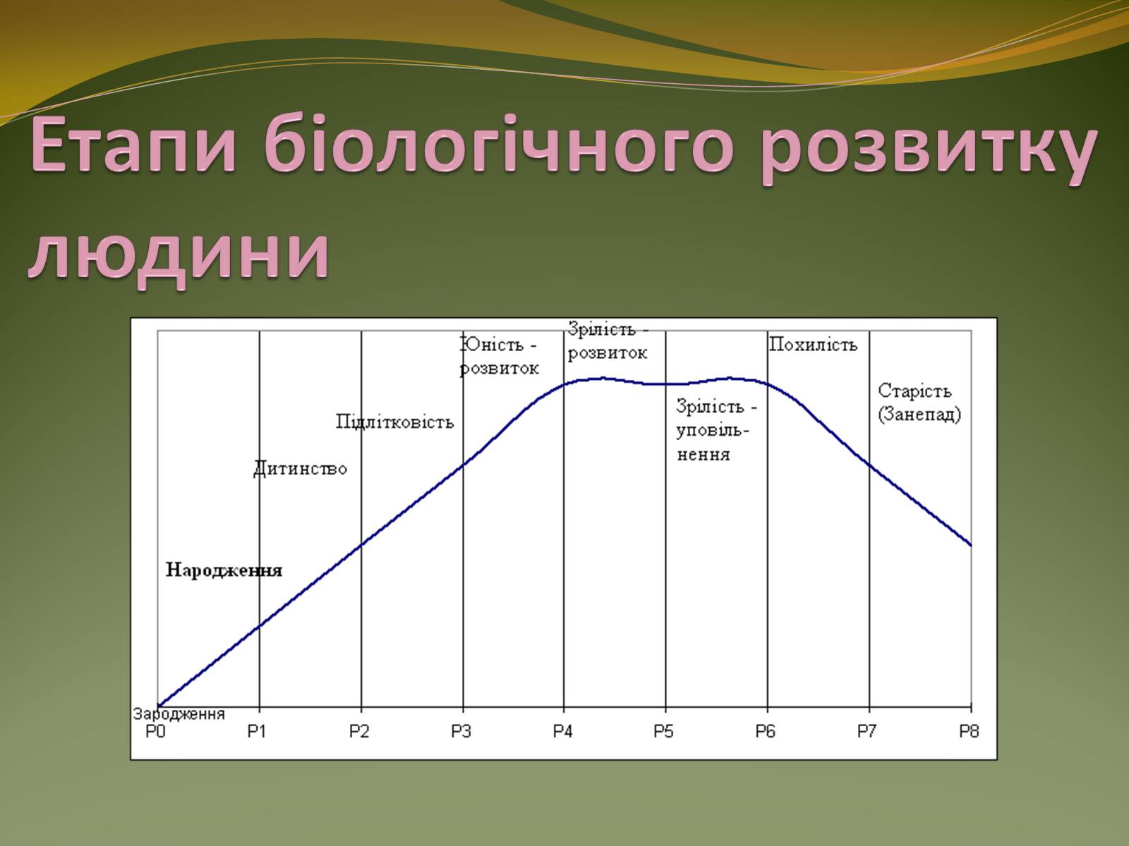 Презентація на тему «Організм людини як біологічна система» - Слайд #6