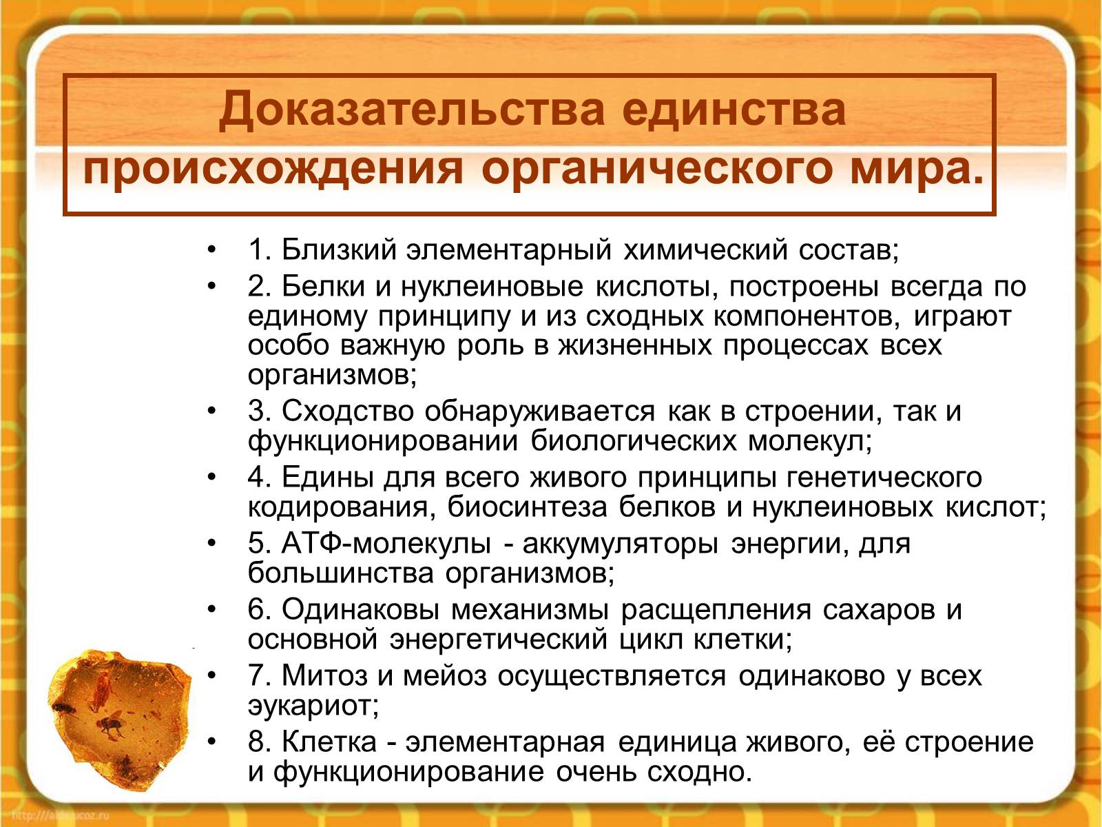 Презентація на тему «Макроэволюция.Доказательства эволюции» - Слайд #3