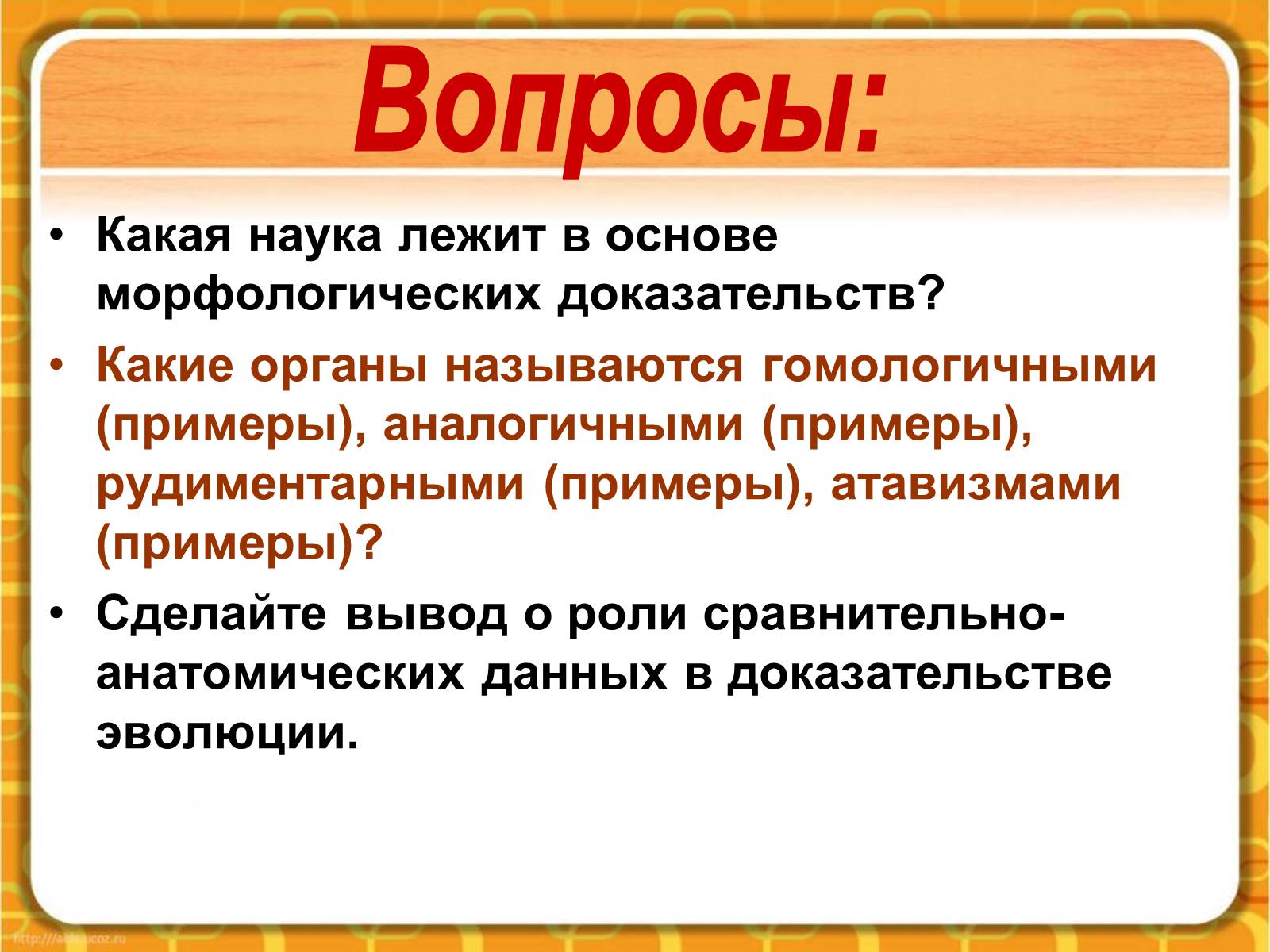 Презентація на тему «Макроэволюция.Доказательства эволюции» - Слайд #30