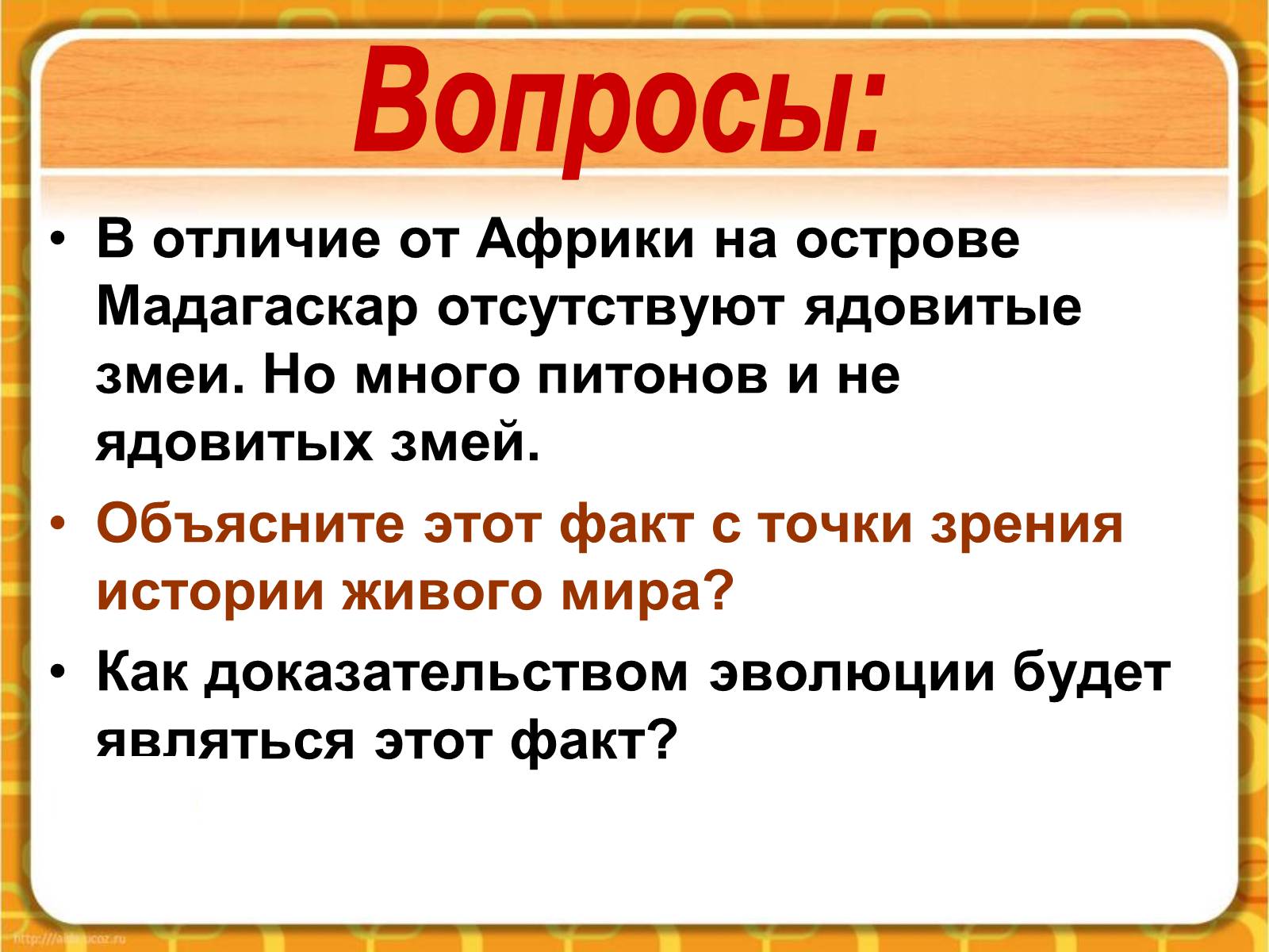 Презентація на тему «Макроэволюция.Доказательства эволюции» - Слайд #40